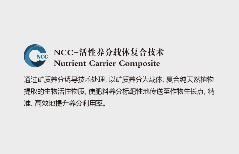 NCC-活性养分载体复合技术