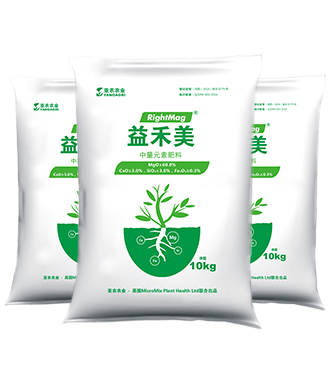 益禾美